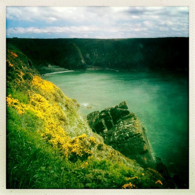 A Polaroid-style picture of a beach with cliffs and an area of gorse in the foreground.