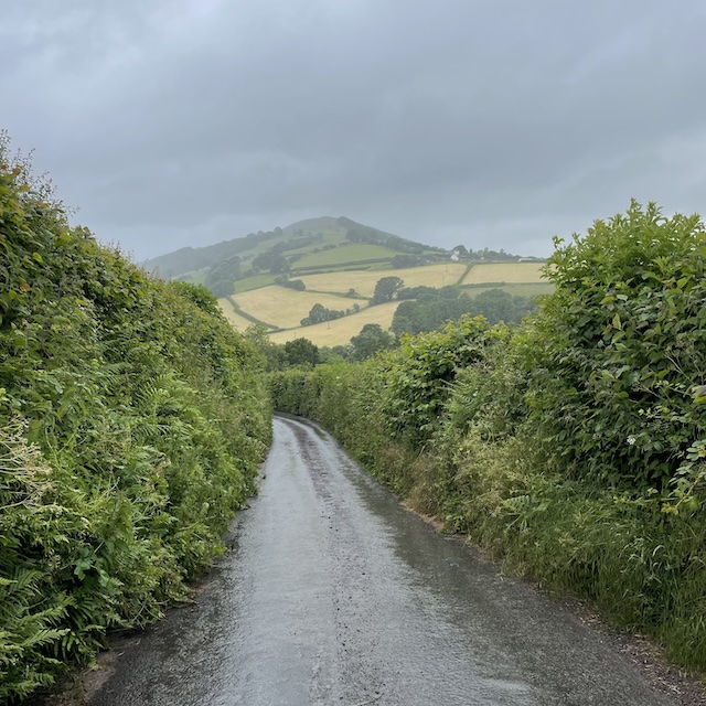 A damp lane with green hedgerows. In the distance is a hill.